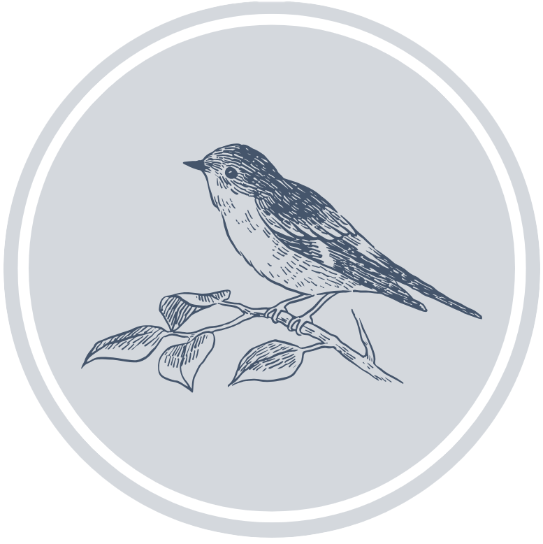 Mountain Bluebird Bridal Collective